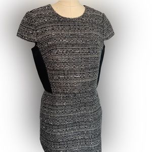 Tory Burch Size 6 Wool Knee length